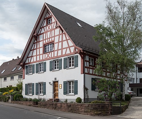 Allensbach Institute